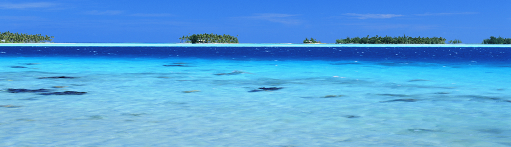 header_image